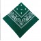 Бандана темно-зелена бавовняна з індійським принтом, 55*55 см